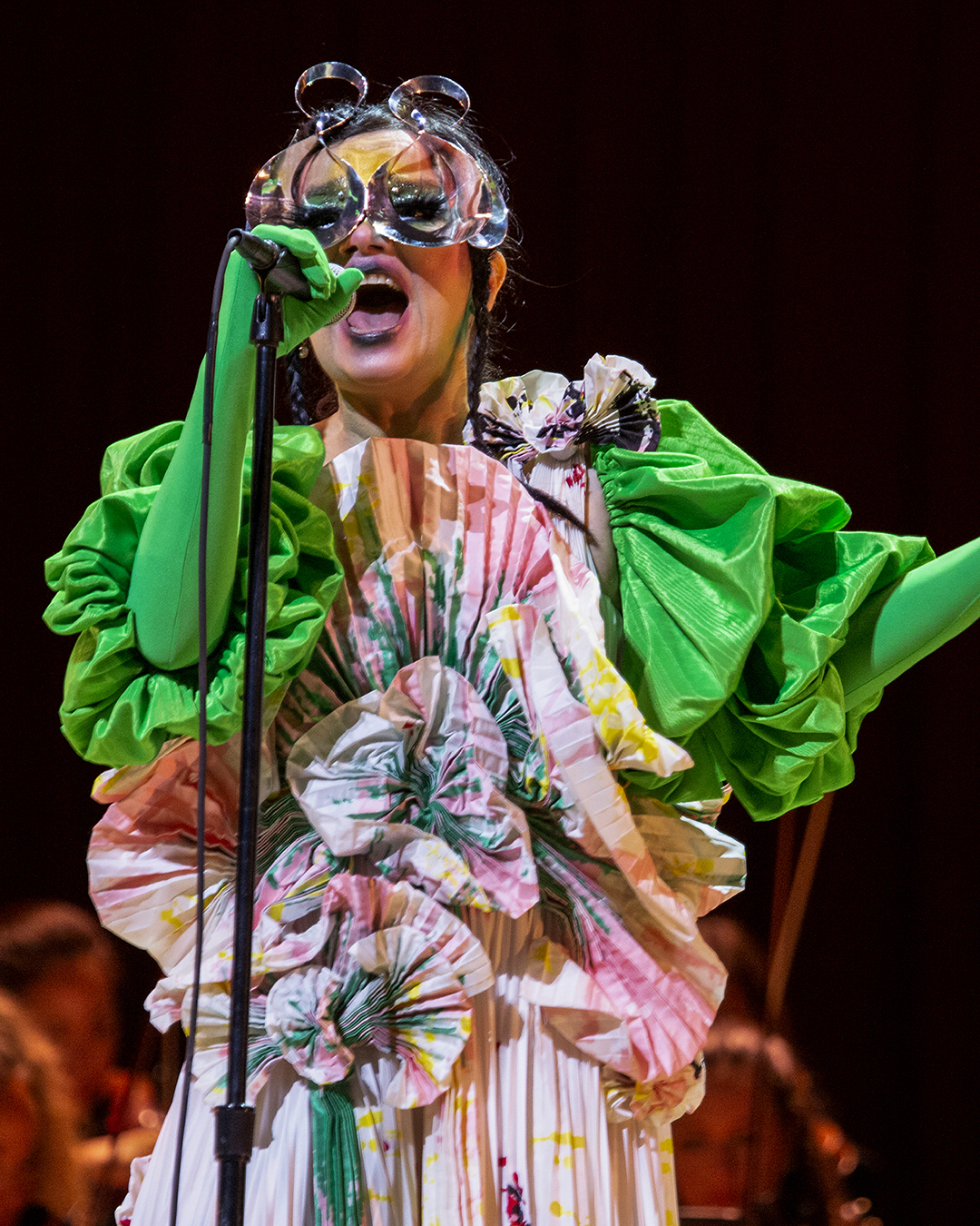 Bjork: Miami Concert