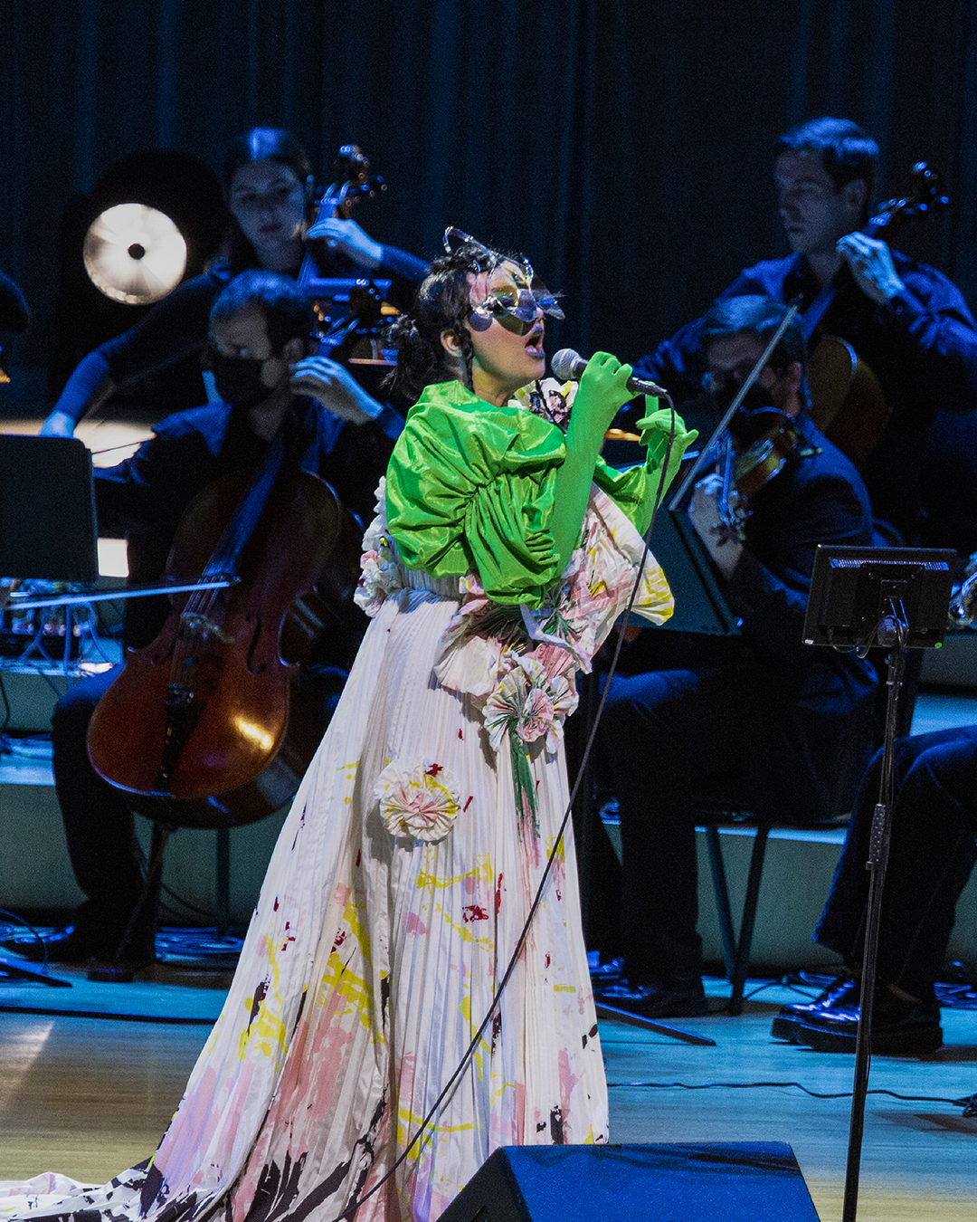Bjork: Miami Concert